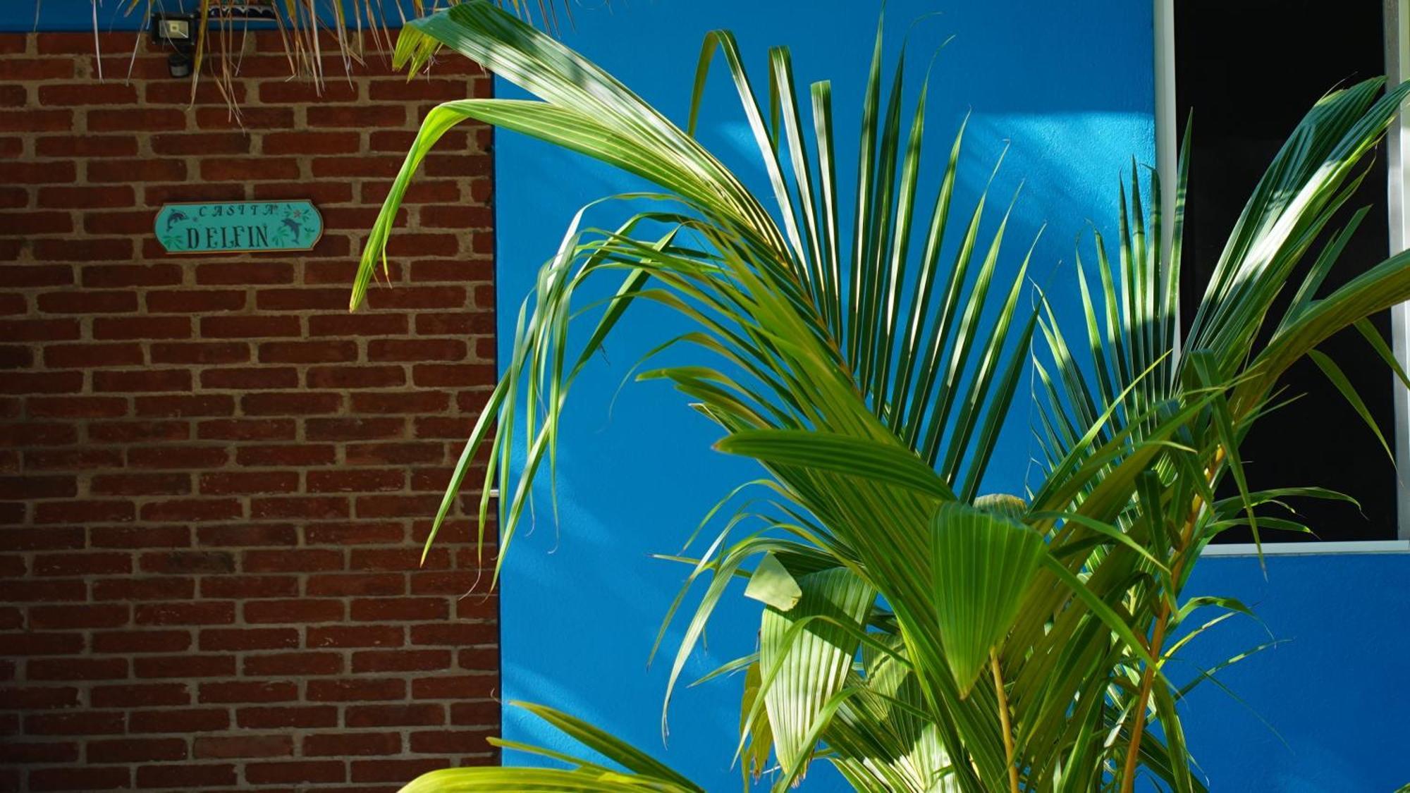 Ocean Oasis Hotel - Adult Only, Four Casitas Boutique Resort Agua Blanca 外观 照片