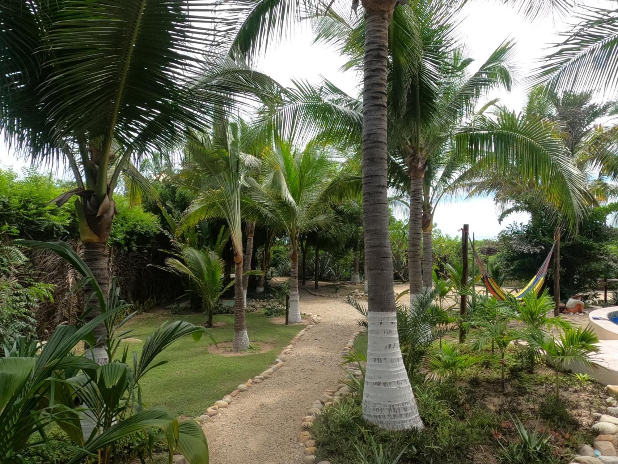 Ocean Oasis Hotel - Adult Only, Four Casitas Boutique Resort Agua Blanca 外观 照片
